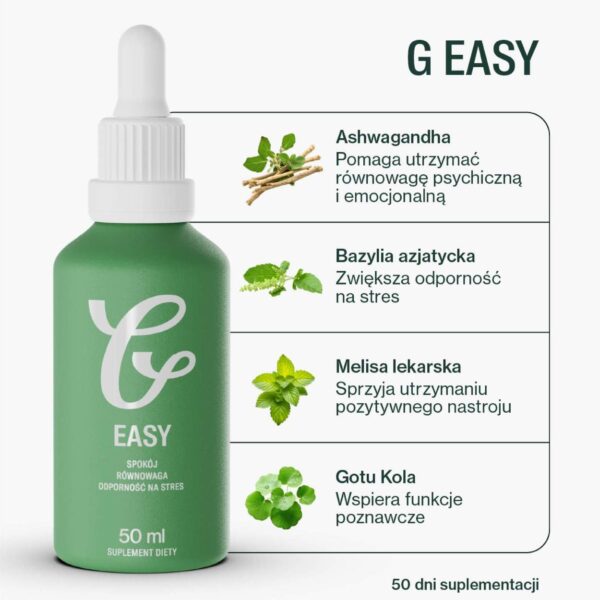G Easy - obrazek 2