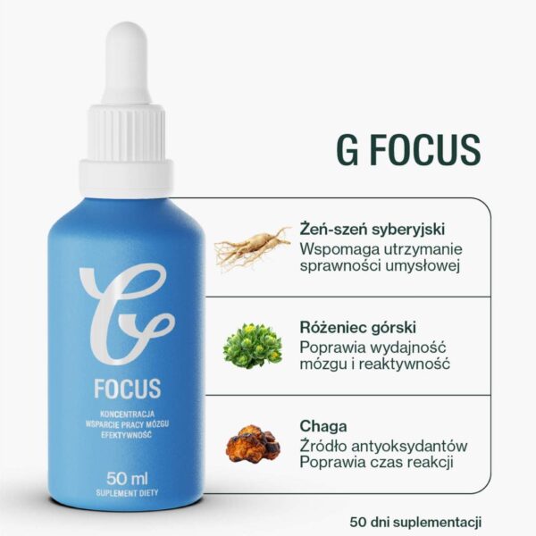 G Focus - obrazek 2